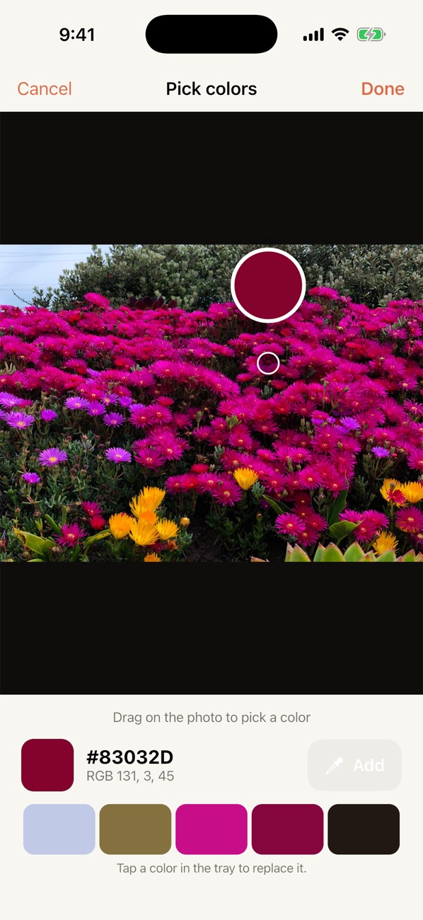 HueLoom eyedropper picking a pink from a photo of flowers